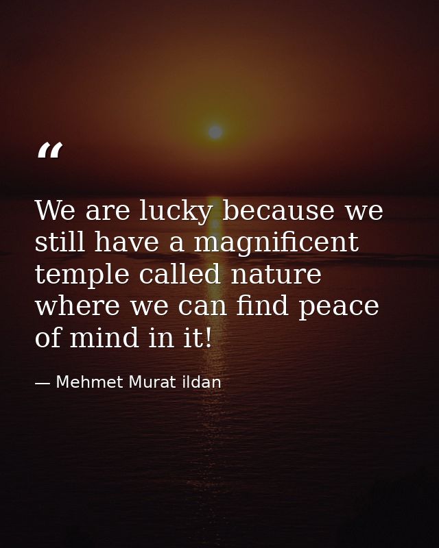 We are lucky because we still have a magnificent temple called nature where we can find peace of mind in it! — Mehmet Murat ildan