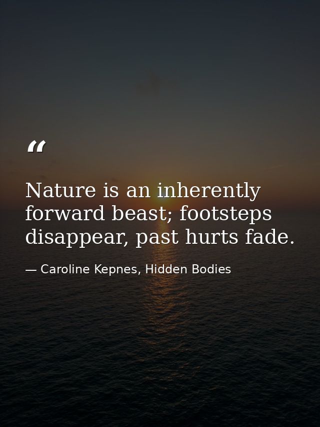 Nature is an inherently forward beast; footsteps disappear, past hurts fade. — Caroline Kepnes, Hidden Bodies
