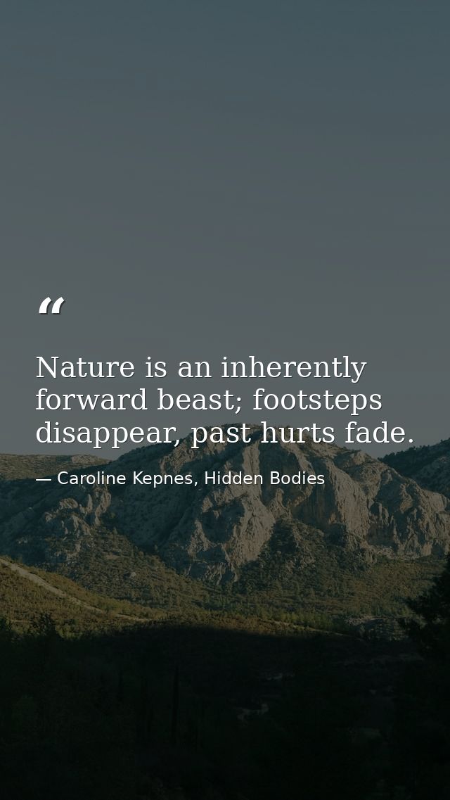 Nature is an inherently forward beast; footsteps disappear, past hurts fade. — Caroline Kepnes, Hidden Bodies