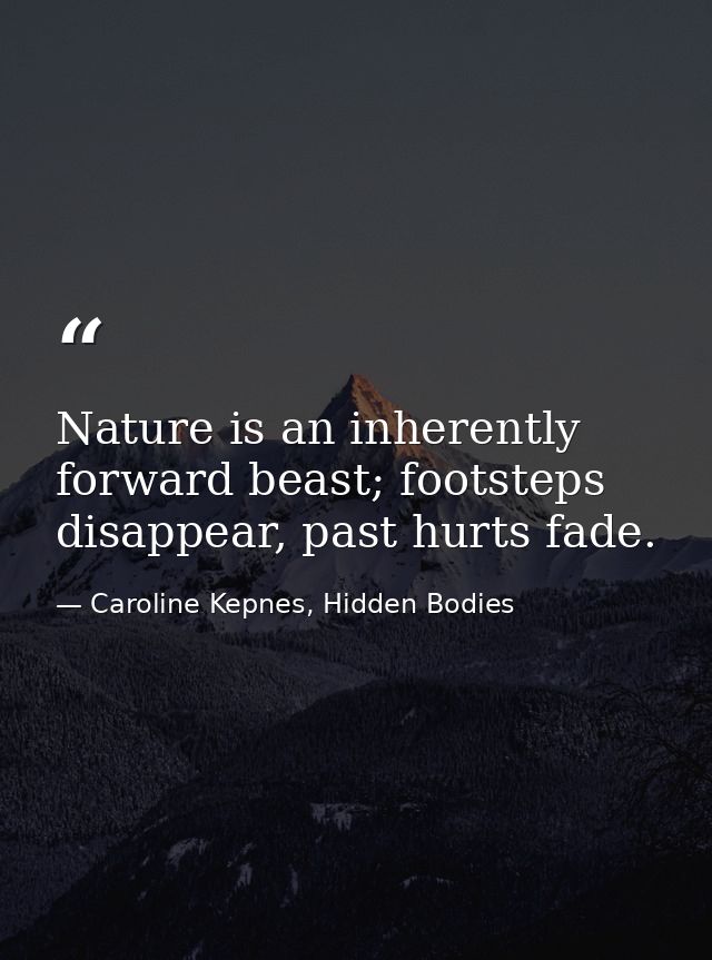 Nature is an inherently forward beast; footsteps disappear, past hurts fade. — Caroline Kepnes, Hidden Bodies