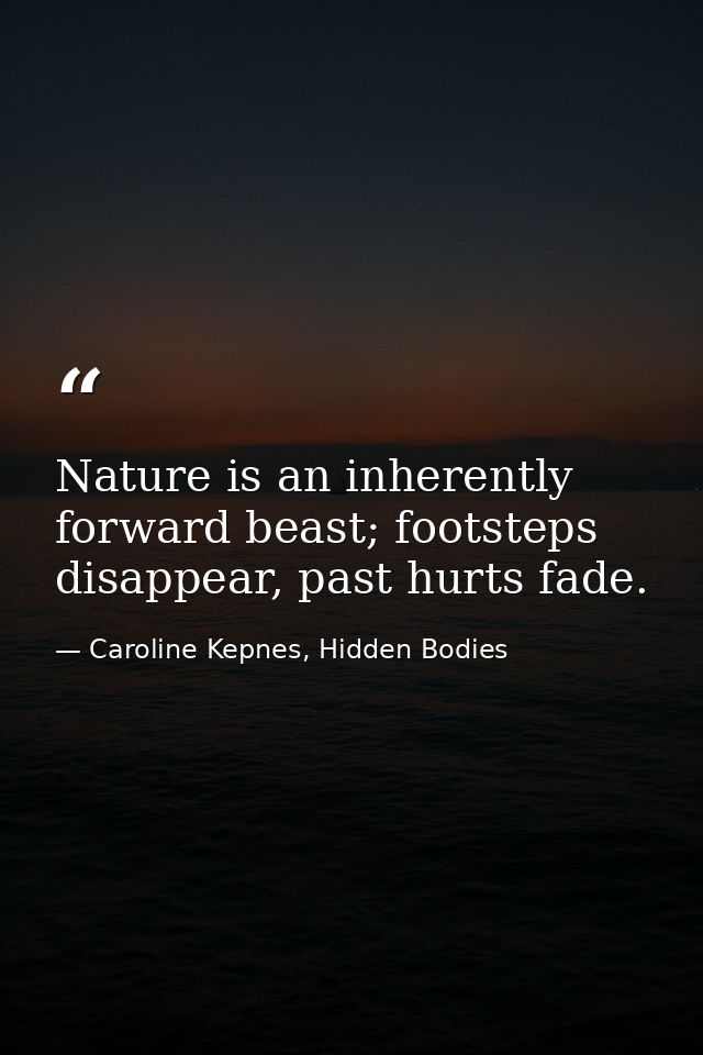 Nature is an inherently forward beast; footsteps disappear, past hurts fade. — Caroline Kepnes, Hidden Bodies