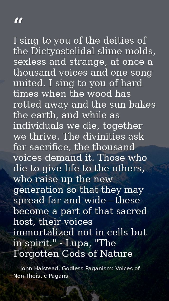 I sing to you of the deities of the Dictyostelidal slime molds, sexless and strange, at once a thousand voices and one s — John Halstead, Godless Paganism: Voices of Non-Theistic Pagans