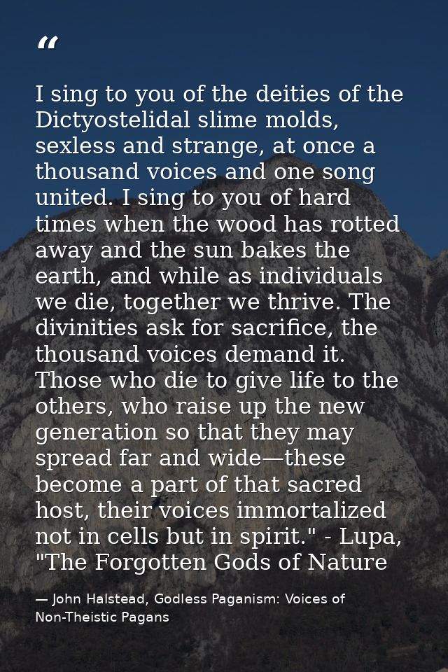 I sing to you of the deities of the Dictyostelidal slime molds, sexless and strange, at once a thousand voices and one s — John Halstead, Godless Paganism: Voices of Non-Theistic Pagans