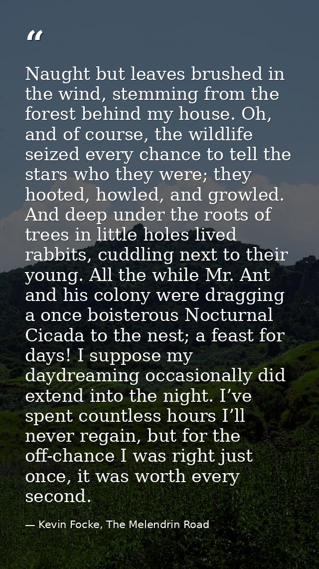 Naught but leaves brushed in the wind, stemming from the forest behind my house. Oh, and of course, the wildlife seized  — Kevin Focke, The Melendrin Road