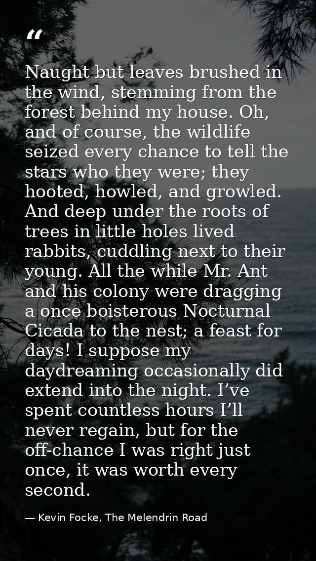 Naught but leaves brushed in the wind, stemming from the forest behind my house. Oh, and of course, the wildlife seized  — Kevin Focke, The Melendrin Road
