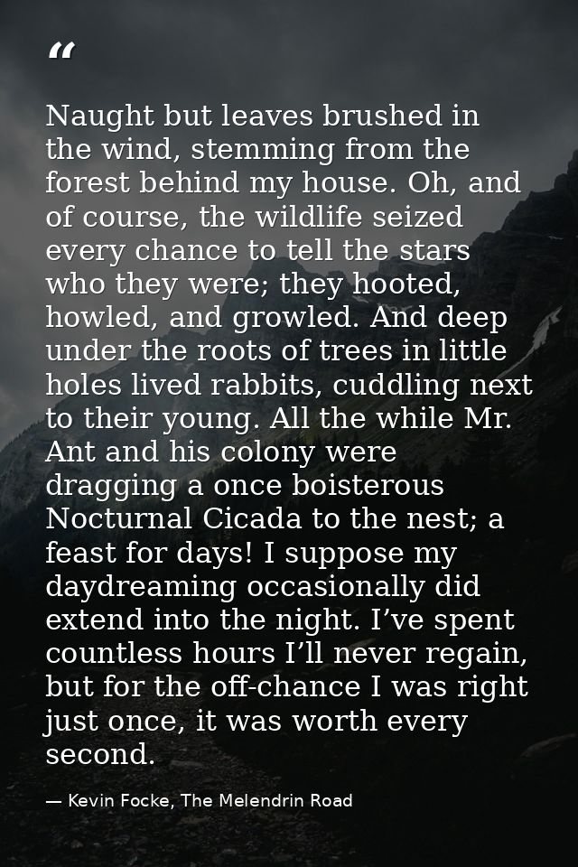 Naught but leaves brushed in the wind, stemming from the forest behind my house. Oh, and of course, the wildlife seized  — Kevin Focke, The Melendrin Road