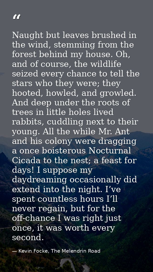Naught but leaves brushed in the wind, stemming from the forest behind my house. Oh, and of course, the wildlife seized  — Kevin Focke, The Melendrin Road