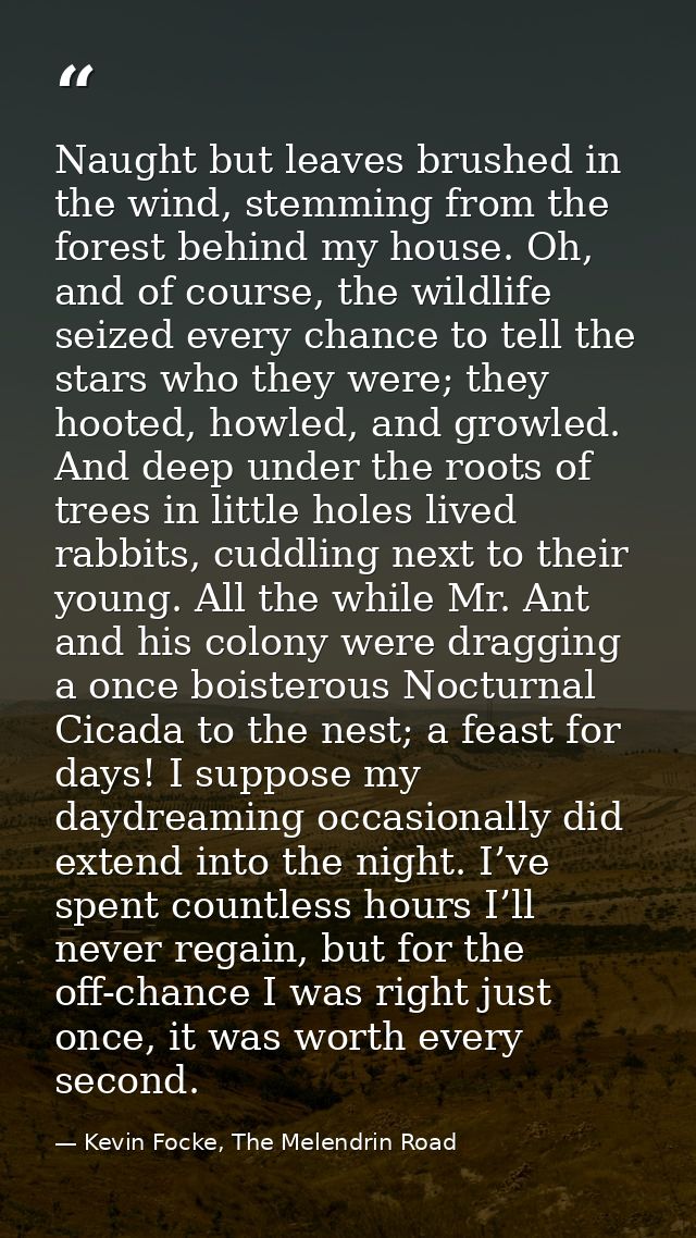Naught but leaves brushed in the wind, stemming from the forest behind my house. Oh, and of course, the wildlife seized  — Kevin Focke, The Melendrin Road