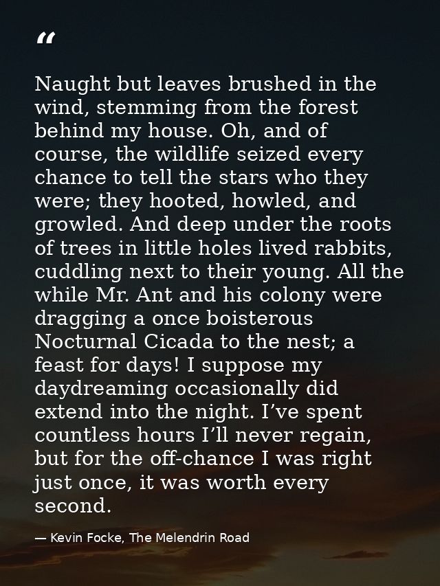 Naught but leaves brushed in the wind, stemming from the forest behind my house. Oh, and of course, the wildlife seized  — Kevin Focke, The Melendrin Road