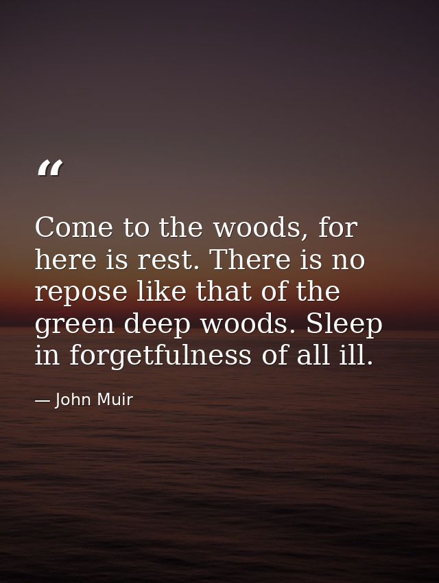 Come to the woods, for here is rest. There is no repose like that of the green deep woods. Sleep in forgetfulness of all — John Muir
