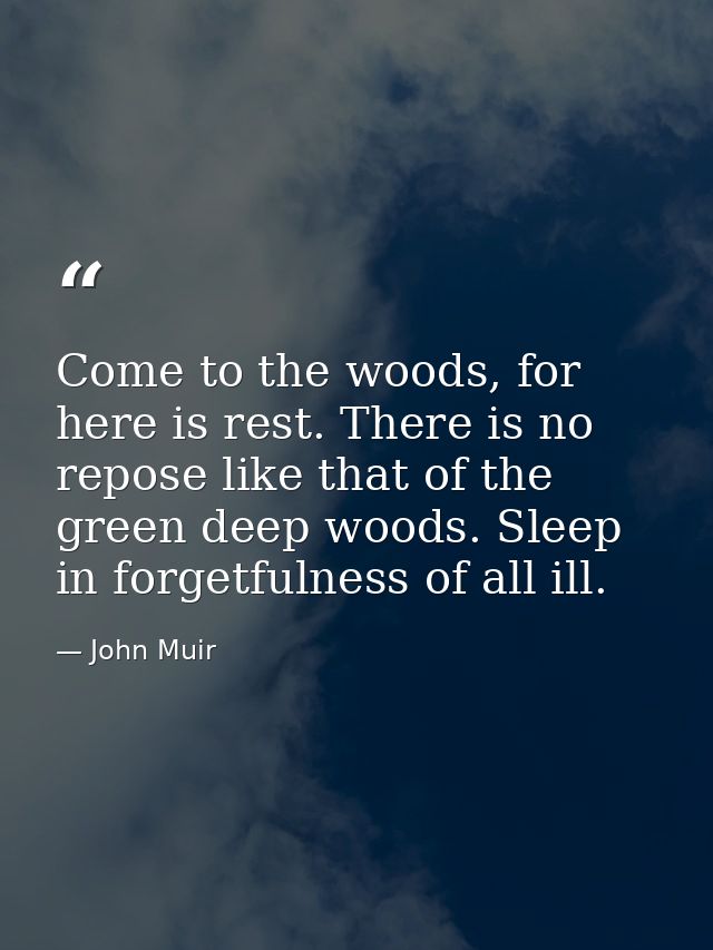 Come to the woods, for here is rest. There is no repose like that of the green deep woods. Sleep in forgetfulness of all — John Muir