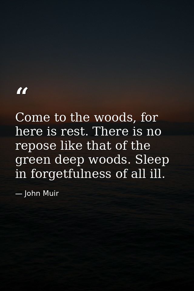 Come to the woods, for here is rest. There is no repose like that of the green deep woods. Sleep in forgetfulness of all — John Muir