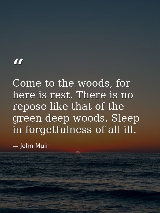 Come to the woods, for here is rest. There is no repose like that of the green deep woods. Sleep in forgetfulness of all — John Muir