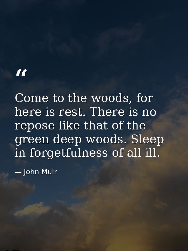 Come to the woods, for here is rest. There is no repose like that of the green deep woods. Sleep in forgetfulness of all — John Muir