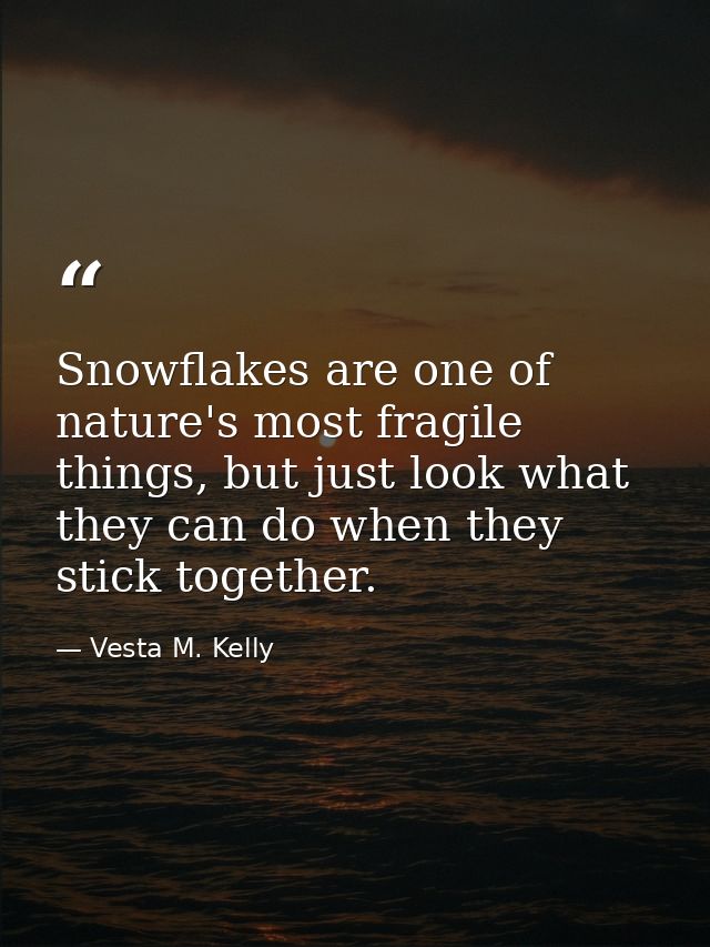 Snowflakes are one of nature's most fragile things, but just look what they can do when they stick together. — Vesta M. Kelly