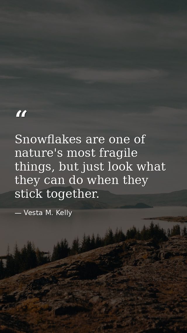 Snowflakes are one of nature's most fragile things, but just look what they can do when they stick together. — Vesta M. Kelly