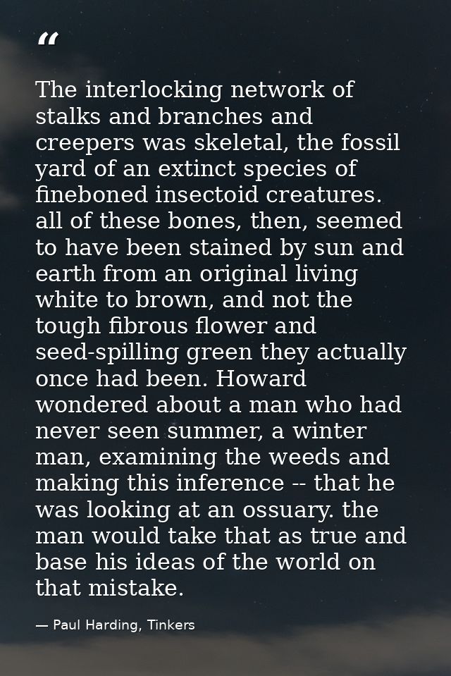 The interlocking network of stalks and branches and creepers was skeletal, the fossil yard of an extinct species of fine — Paul Harding, Tinkers