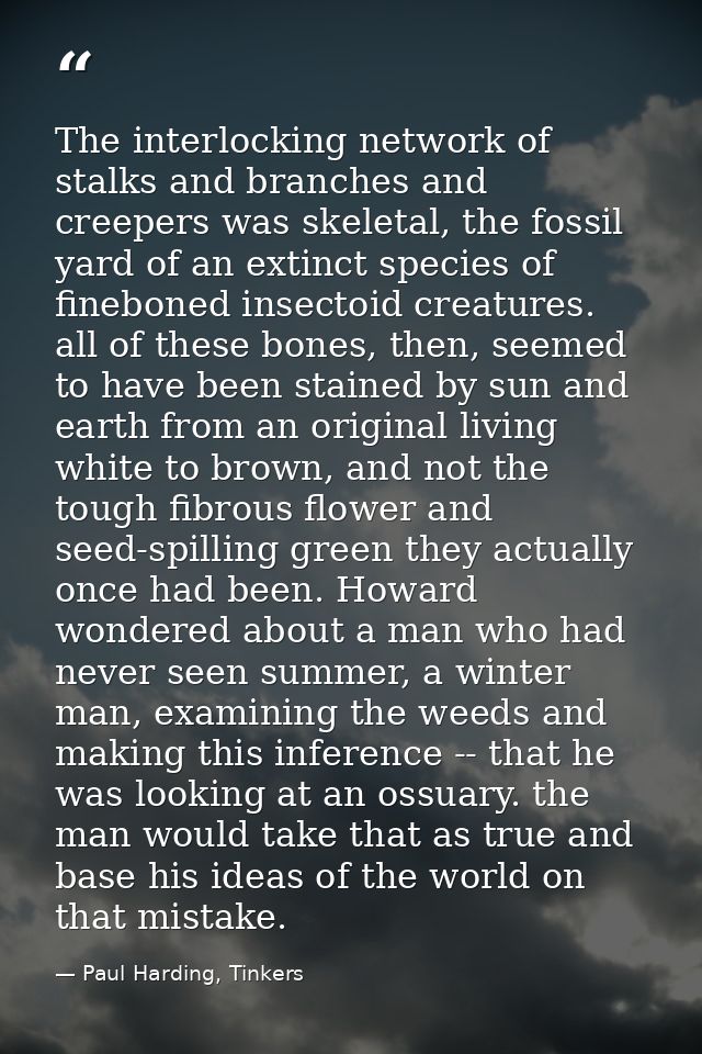 The interlocking network of stalks and branches and creepers was skeletal, the fossil yard of an extinct species of fine — Paul Harding, Tinkers