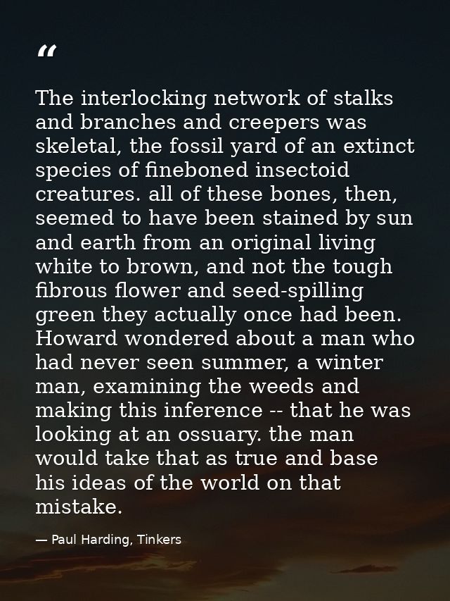 The interlocking network of stalks and branches and creepers was skeletal, the fossil yard of an extinct species of fine — Paul Harding, Tinkers