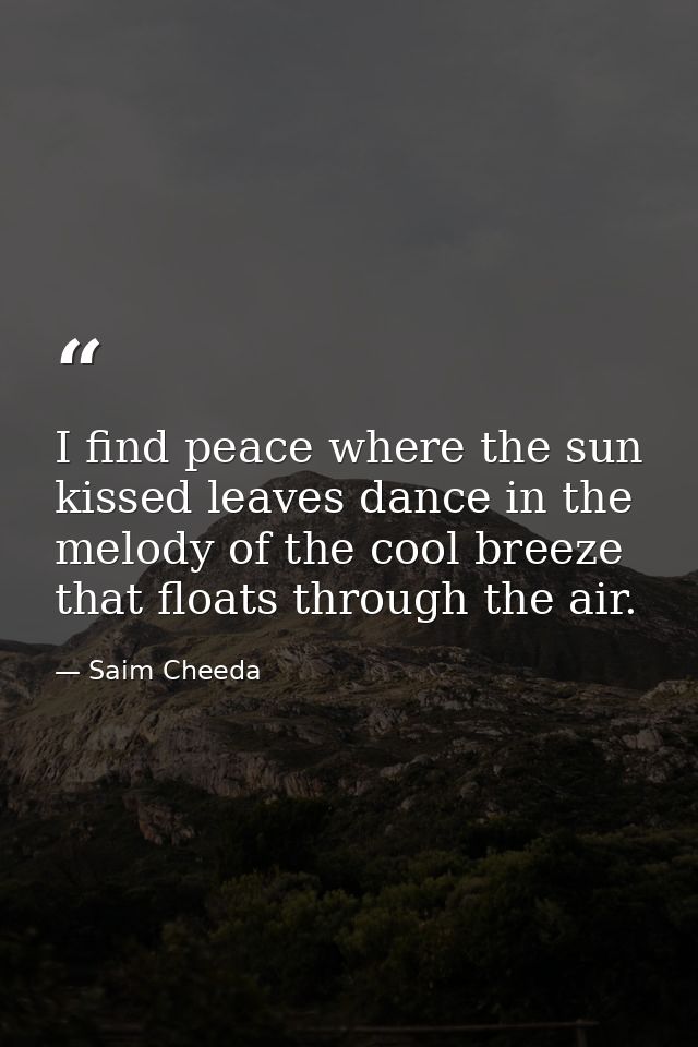 I find peace where the sun kissed leaves dance in the melody of the cool breeze that floats through the air. — Saim Cheeda