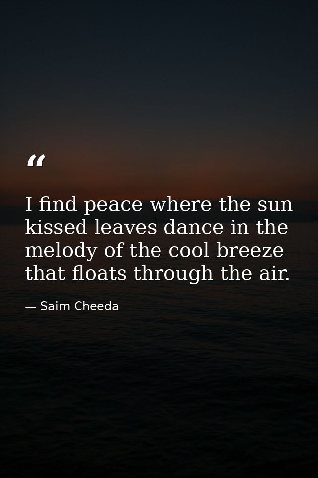 I find peace where the sun kissed leaves dance in the melody of the cool breeze that floats through the air. — Saim Cheeda