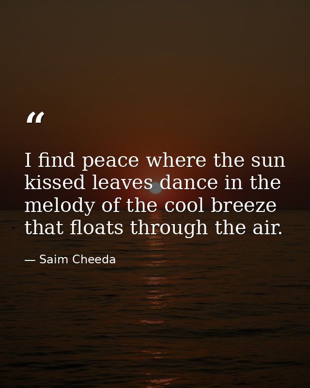I find peace where the sun kissed leaves dance in the melody of the cool breeze that floats through the air. — Saim Cheeda