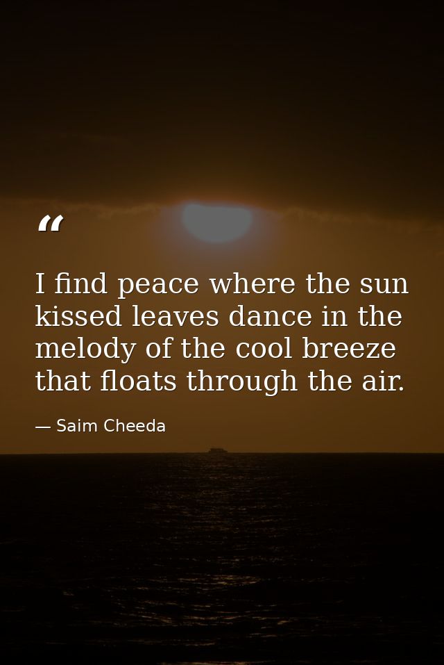I find peace where the sun kissed leaves dance in the melody of the cool breeze that floats through the air. — Saim Cheeda
