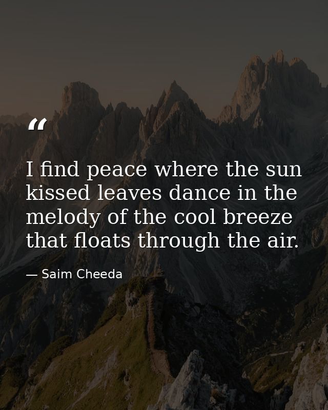 I find peace where the sun kissed leaves dance in the melody of the cool breeze that floats through the air. — Saim Cheeda