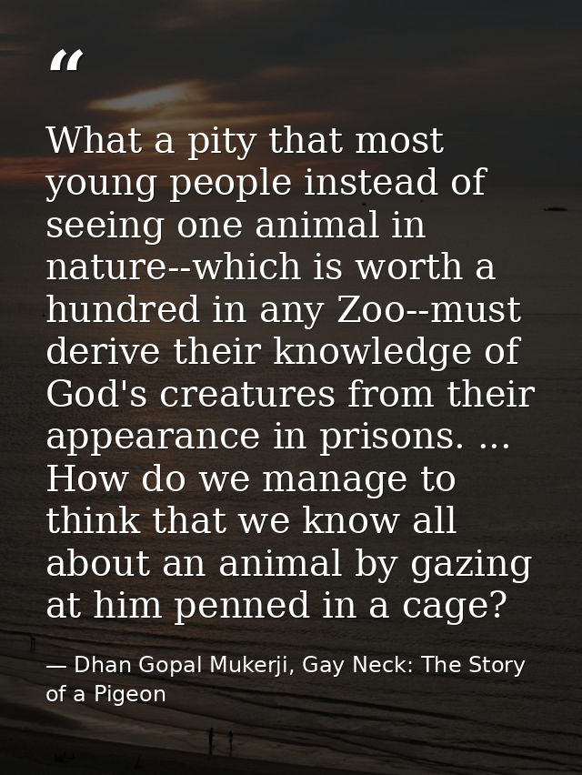 What a pity that most young people instead of seeing one animal in nature--which is worth a hundred in any Zoo--must der — Dhan Gopal Mukerji, Gay Neck: The Story of a Pigeon