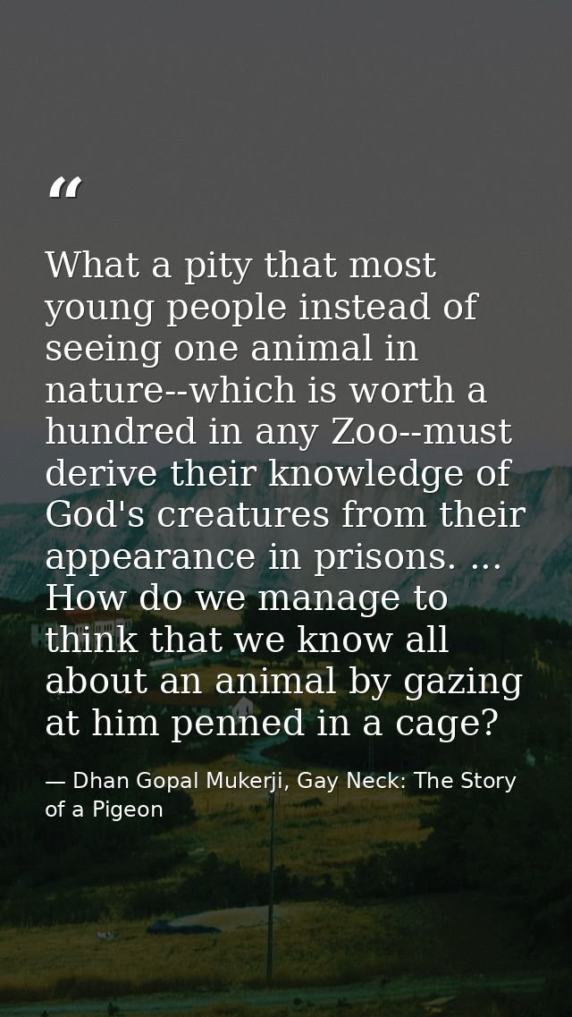 What a pity that most young people instead of seeing one animal in nature--which is worth a hundred in any Zoo--must der — Dhan Gopal Mukerji, Gay Neck: The Story of a Pigeon
