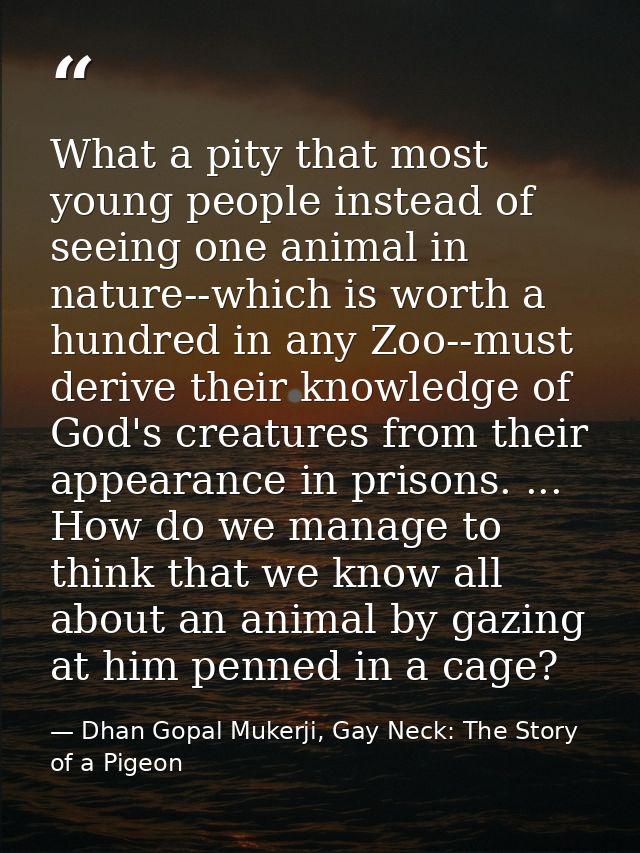 What a pity that most young people instead of seeing one animal in nature--which is worth a hundred in any Zoo--must der — Dhan Gopal Mukerji, Gay Neck: The Story of a Pigeon