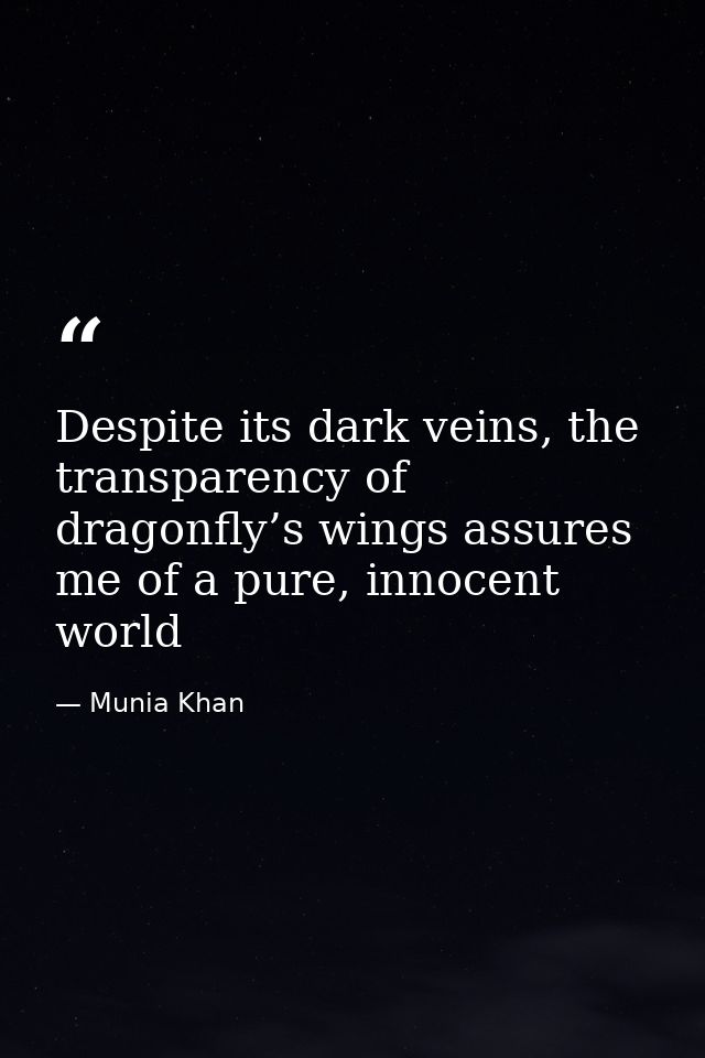 Despite its dark veins, the transparency of dragonfly’s wings assures me of a pure, innocent world — Munia Khan