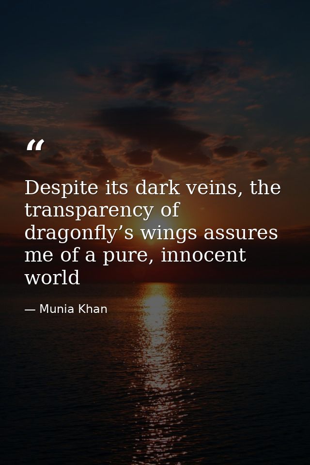 Despite its dark veins, the transparency of dragonfly’s wings assures me of a pure, innocent world — Munia Khan