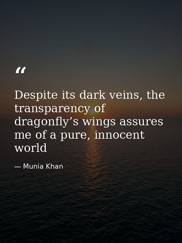 Despite its dark veins, the transparency of dragonfly’s wings assures me of a pure, innocent world — Munia Khan