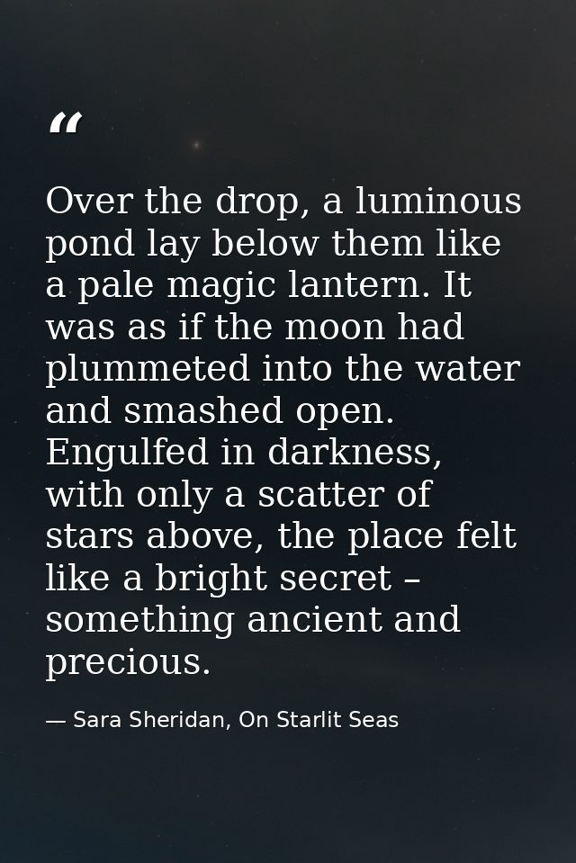 Over the drop, a luminous pond lay below them like a pale magic lantern. It was as if the moon had plummeted into the wa — Sara Sheridan, On Starlit Seas