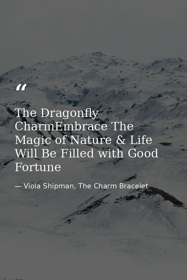 The Dragonfly CharmEmbrace The Magic of Nature & Life Will Be Filled with Good Fortune — Viola Shipman, The Charm Bracelet