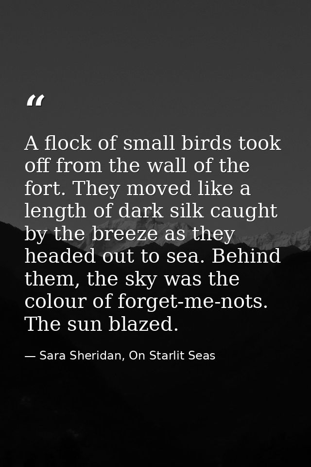 A flock of small birds took off from the wall of the fort. They moved like a length of dark silk caught by the breeze as — Sara Sheridan, On Starlit Seas