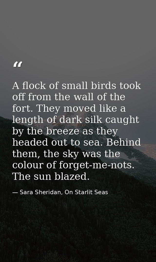 A flock of small birds took off from the wall of the fort. They moved like a length of dark silk caught by the breeze as — Sara Sheridan, On Starlit Seas