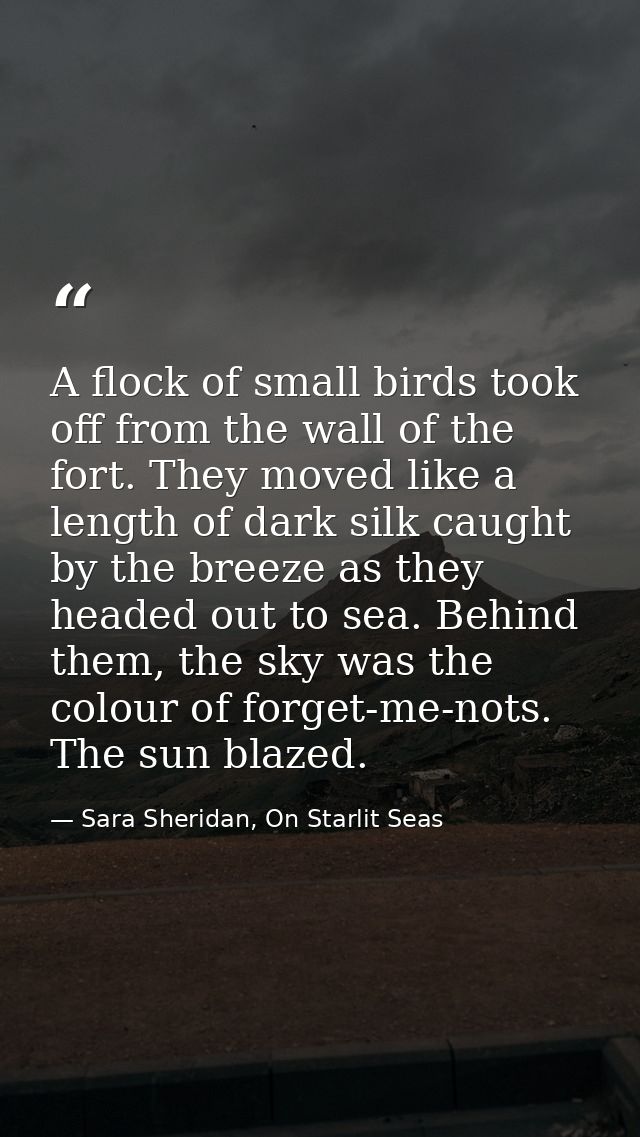 A flock of small birds took off from the wall of the fort. They moved like a length of dark silk caught by the breeze as — Sara Sheridan, On Starlit Seas