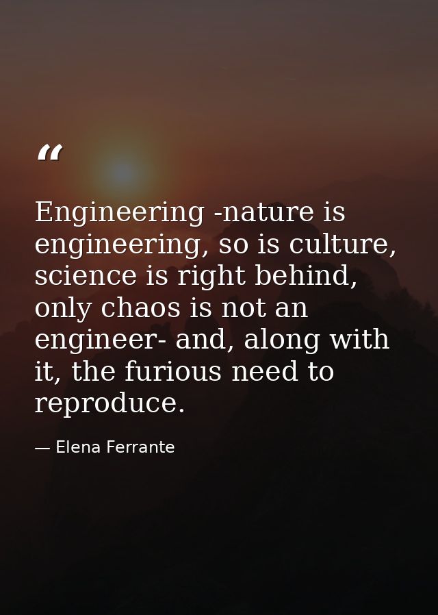 Engineering -nature is engineering, so is culture, science is right behind, only chaos is not an engineer- and, along wi — Elena Ferrante