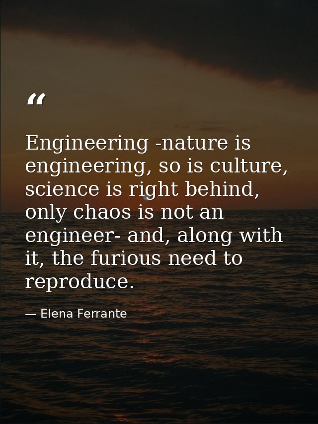 Engineering -nature is engineering, so is culture, science is right behind, only chaos is not an engineer- and, along wi — Elena Ferrante