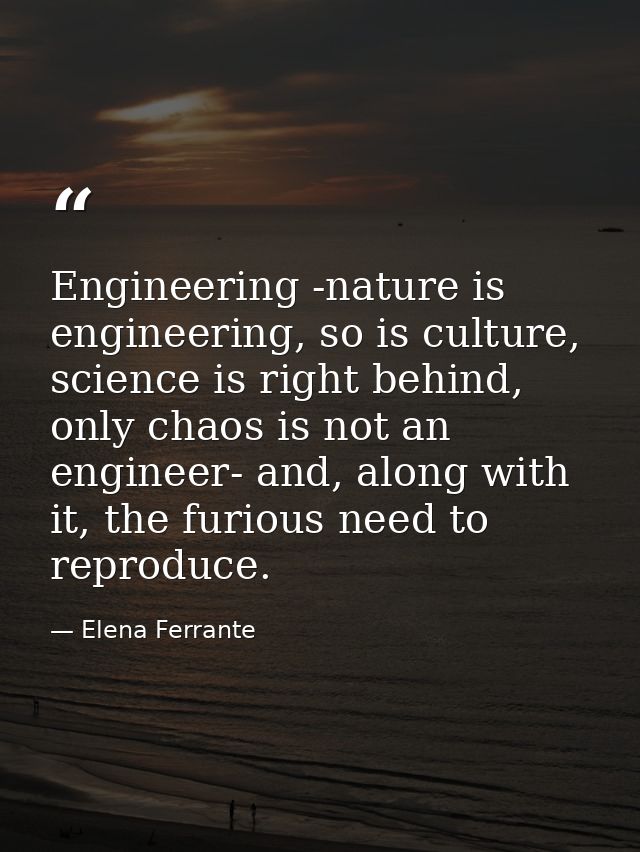 Engineering -nature is engineering, so is culture, science is right behind, only chaos is not an engineer- and, along wi — Elena Ferrante