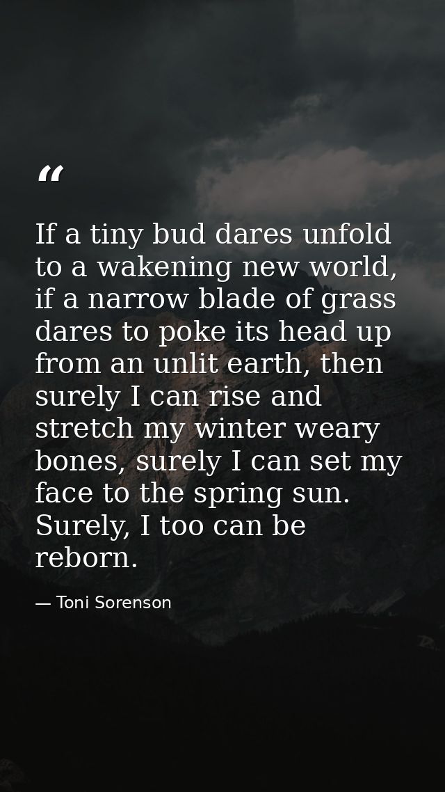 If a tiny bud dares unfold to a wakening new world, if a narrow blade of grass dares to poke its head up from an unlit e — Toni Sorenson