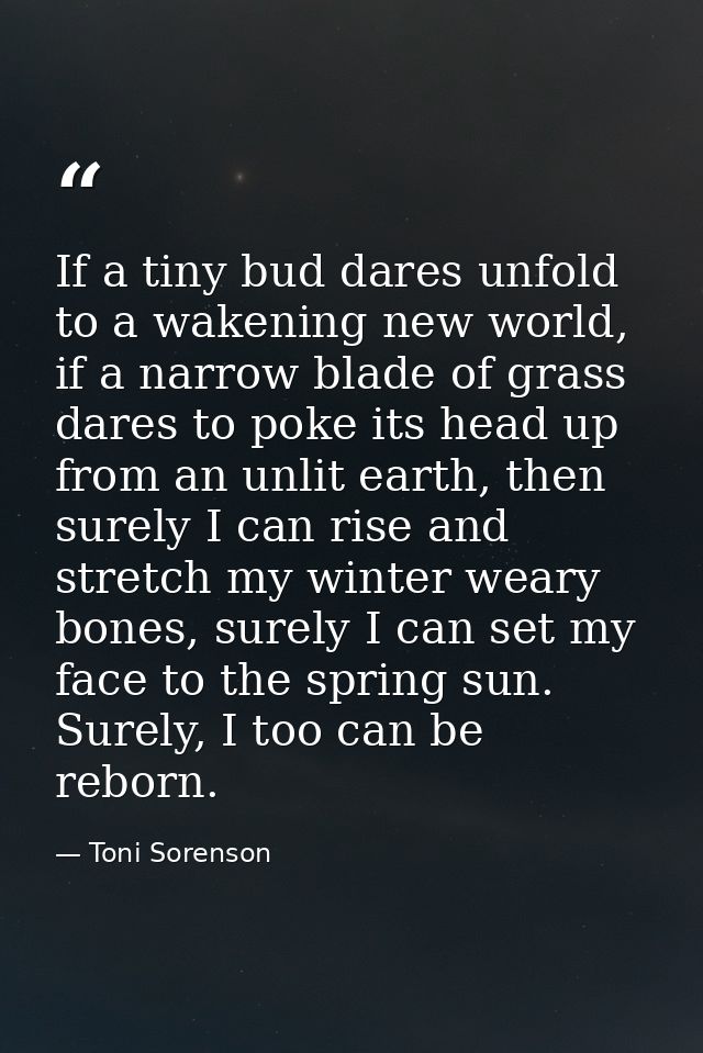 If a tiny bud dares unfold to a wakening new world, if a narrow blade of grass dares to poke its head up from an unlit e — Toni Sorenson