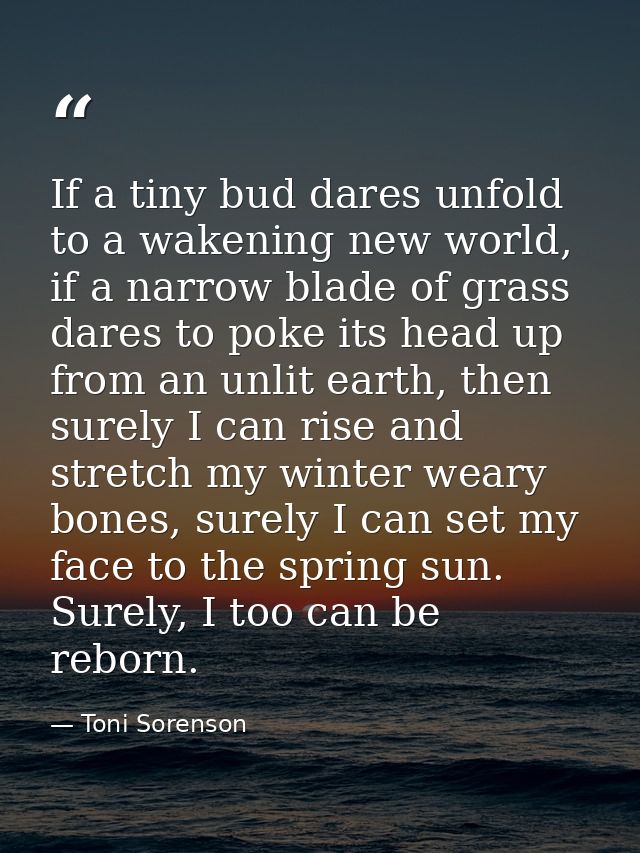 If a tiny bud dares unfold to a wakening new world, if a narrow blade of grass dares to poke its head up from an unlit e — Toni Sorenson