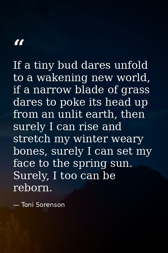 If a tiny bud dares unfold to a wakening new world, if a narrow blade of grass dares to poke its head up from an unlit e — Toni Sorenson