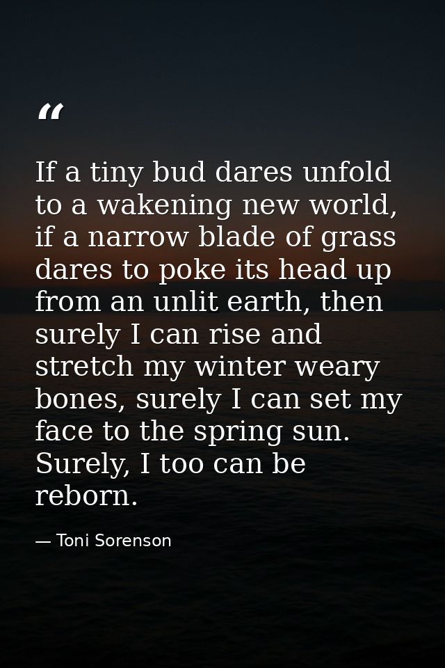 If a tiny bud dares unfold to a wakening new world, if a narrow blade of grass dares to poke its head up from an unlit e — Toni Sorenson