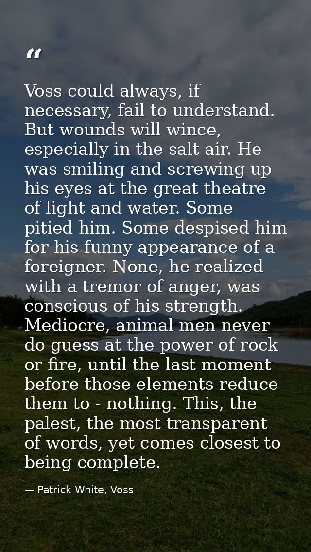 Voss could always, if necessary, fail to understand. But wounds will wince, especially in the salt air. He was smiling a — Patrick White, Voss