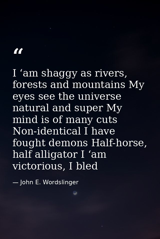 I ‘am shaggy as rivers, forests and mountains My eyes see the universe natural and super My mind is of many cuts Non-ide — John E. Wordslinger