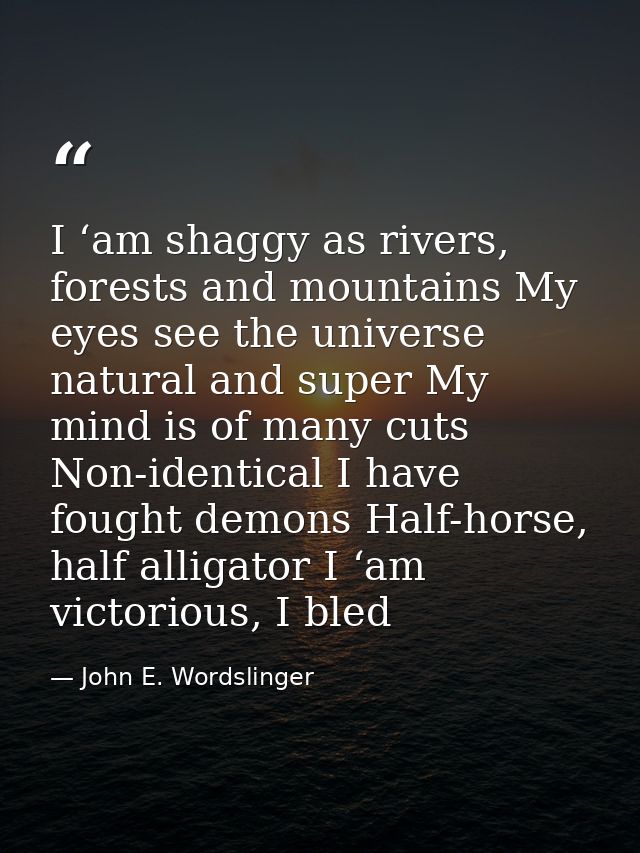 I ‘am shaggy as rivers, forests and mountains My eyes see the universe natural and super My mind is of many cuts Non-ide — John E. Wordslinger
